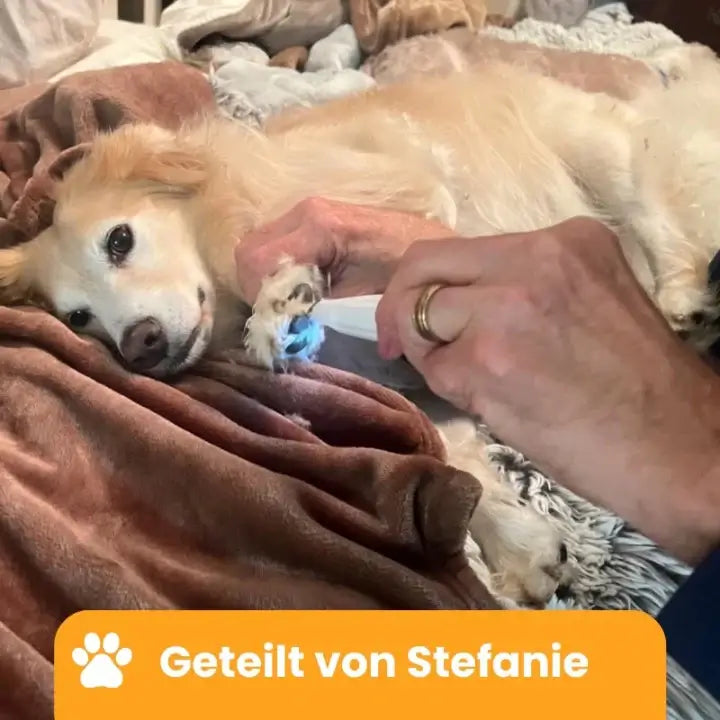 PawTrim Pro™ - Schmerzfreie Pfotenpflege in Sekundenschnelle